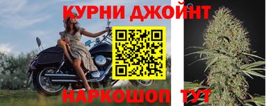 индика Ирбит