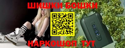 индика Ирбит