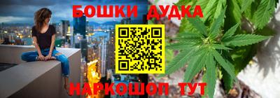 индика Ирбит