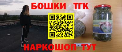 индика Ирбит