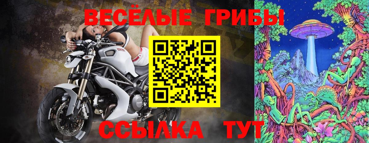 Псилоцибиновые грибы MAGIC MUSHROOMS Среднеуральск