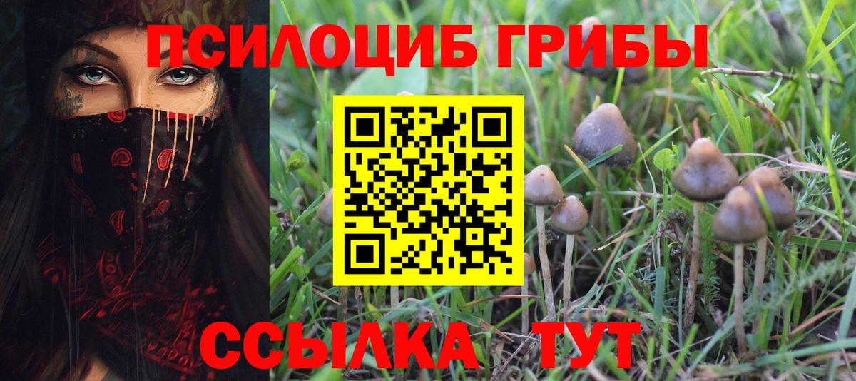 Псилоцибиновые грибы мухоморы  Вход с VPN  купить  цена  Среднеуральск 
